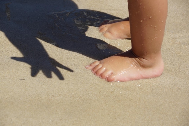 Seção inferior do bebê na areia