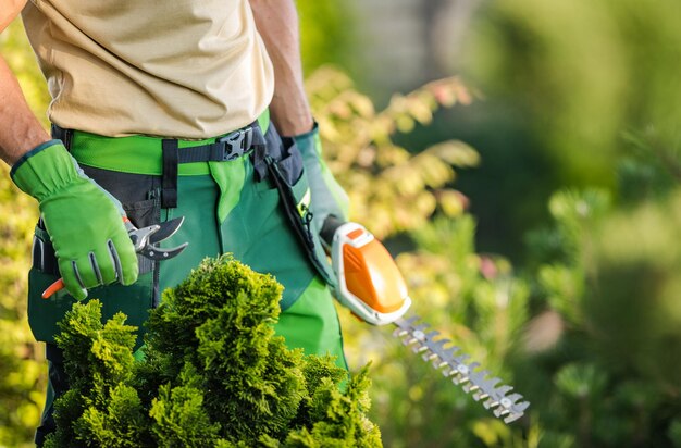 Foto seção média da planta de manutenção do homem