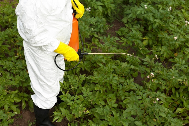 Foto seção média da planta de pulverização de pessoas