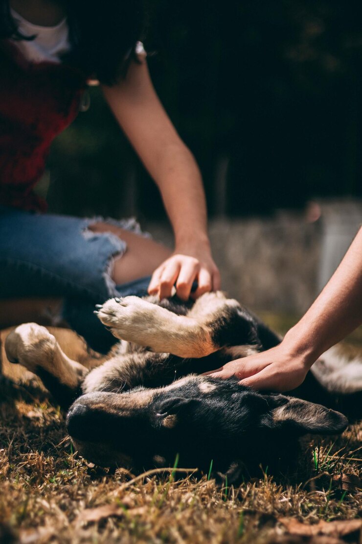 Foto seção média das mãos do homem na terra