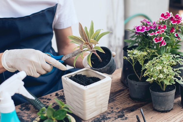 Seção média de florista trabalhando em vaso de flores na loja