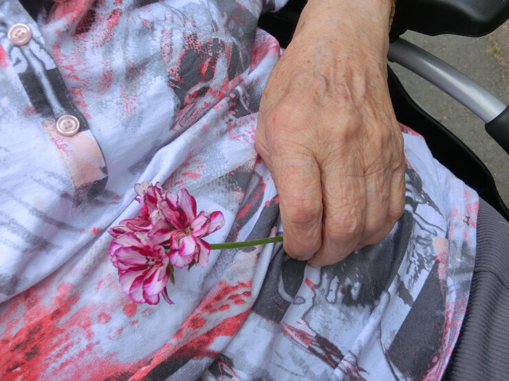 Foto seção média de mulher com flor sentada em cadeira de rodas