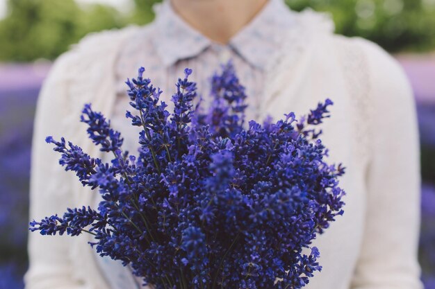 Foto seção média de mulher segurando um buquê de lavanda