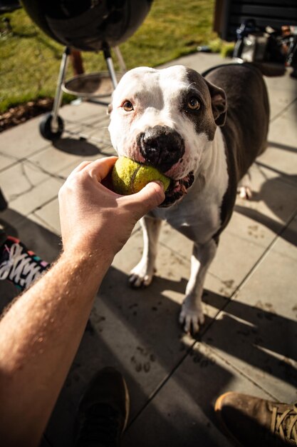 Foto seção média de pessoa comendo comida