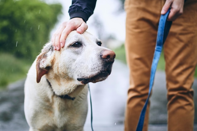 Seção média de um homem acariciando um cão