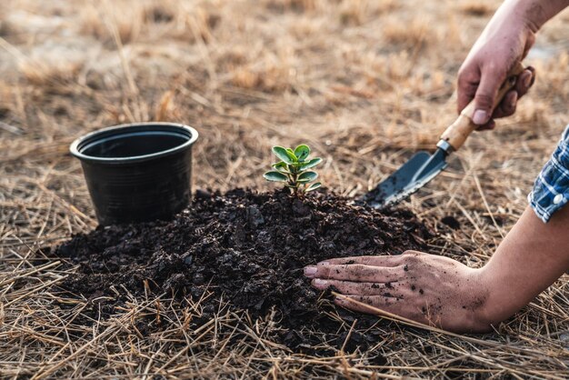 Foto seção média de um homem preparando comida no campo