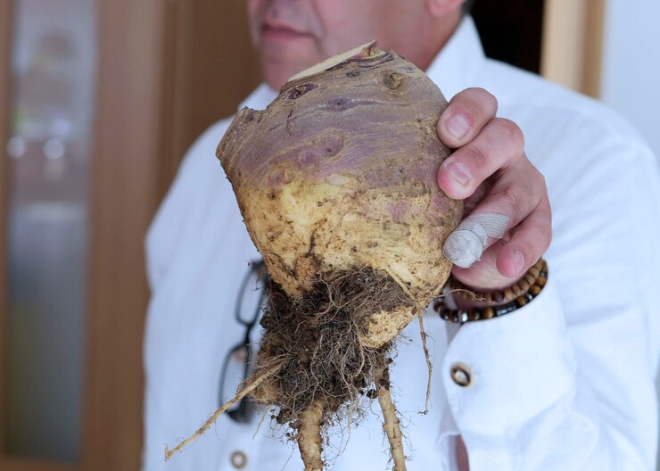Foto seção média de um homem segurando batata-doce