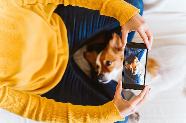 Seção média de um homem segurando um cachorro enquanto usa um telefone inteligente