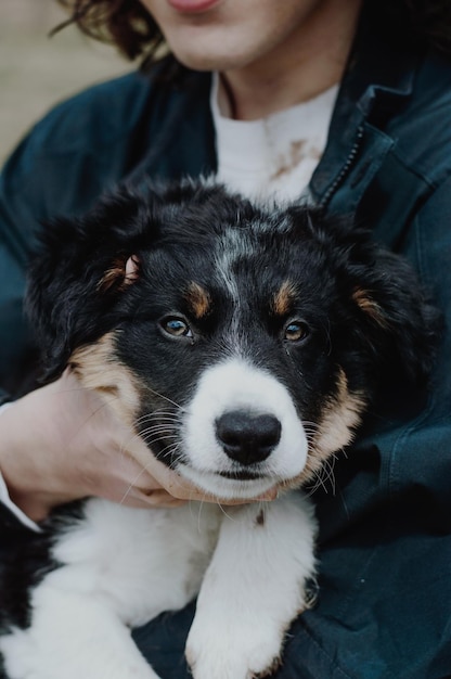 Seção média de um homem segurando um cachorro