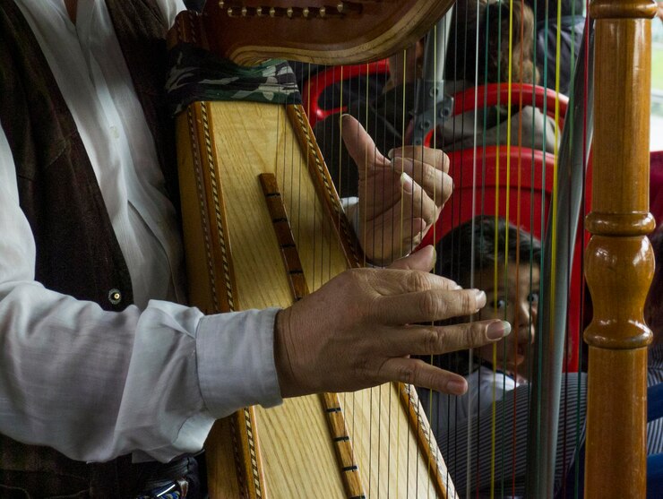 Foto seção média de um músico tocando harpa em um ônibus