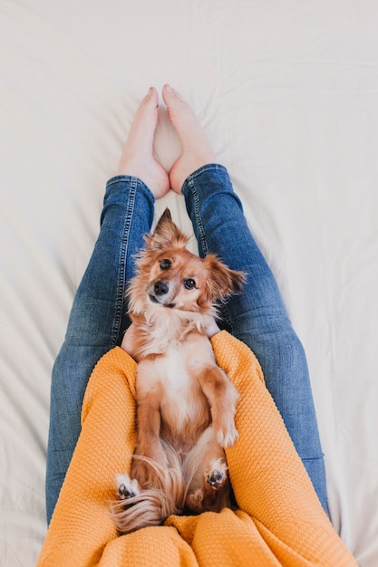 Seção média de uma mulher com um cão