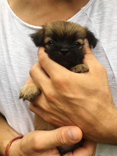 Foto seção média de uma mulher segurando um cachorro