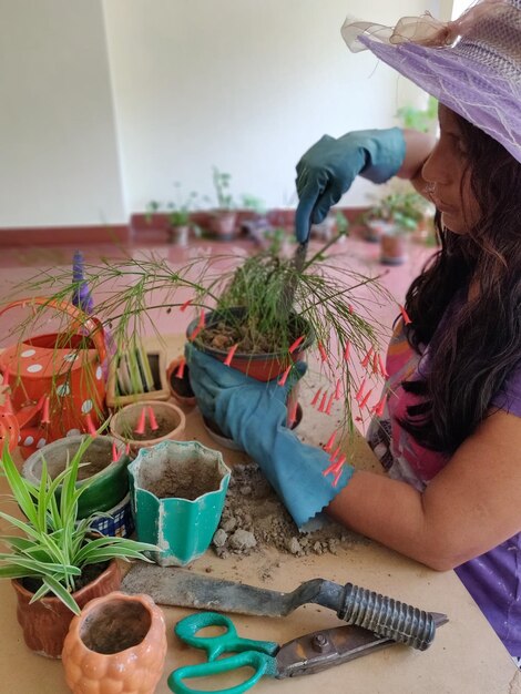 Foto seção média de uma mulher segurando uma planta em vaso na mesa