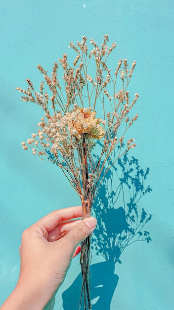 Foto seção média de uma pessoa segurando uma planta em flor contra o céu azul