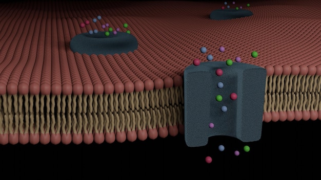 Seção transversal da membrana celular de camada dupla de glicoproteína e seu canal iônico Renderização em 3D