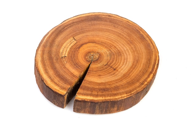 Seção transversal de uma fatia de tronco de árvore de madeira cortada com padrão ondulado de rachaduras e anéis serrados da floresta