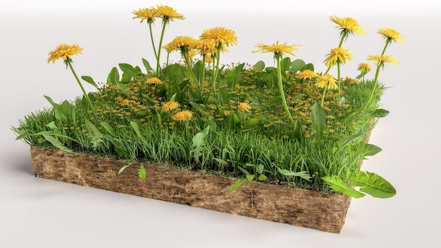 Seção transversal do solo da ilustração 3D com terra da terra e grama verde renderização 3D realista piso de corte do terreno com flores