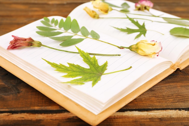 Foto secar las plantas en el cuaderno sobre fondo de madera