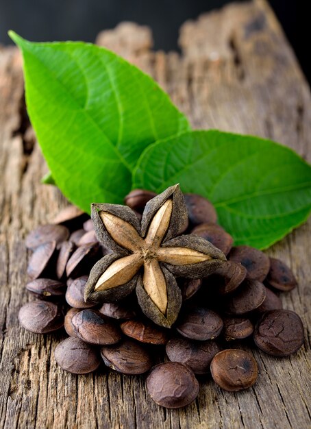 Secas cápsula sementes de frutas de amendoim sacha-inchi em madeira