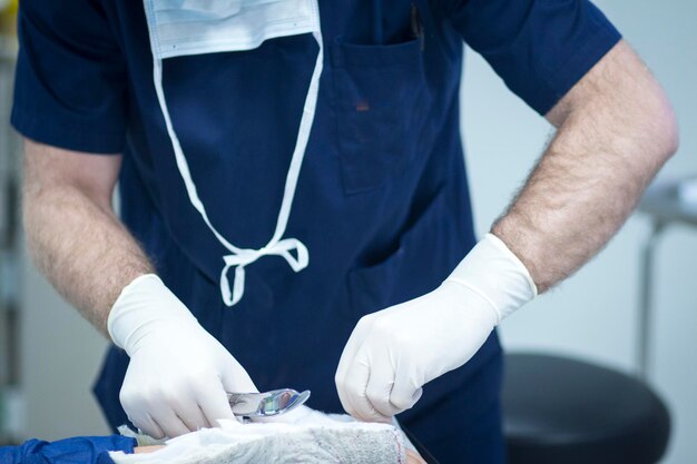 Secção média de um médico a trabalhar num hospital