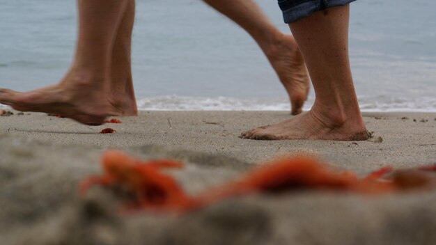 Foto sección baja de la gente en la playa