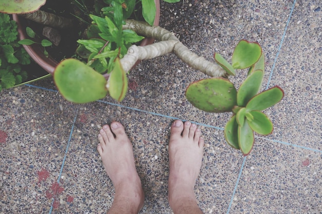 Foto sección baja del hombre de pie en el suelo por la planta