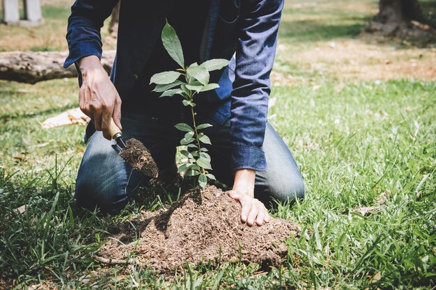 Sección baja del hombre plantando en el campo