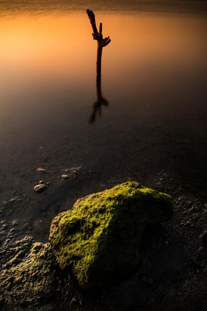 Foto sección baja de un hombre en la playa contra el cielo durante la puesta de sol