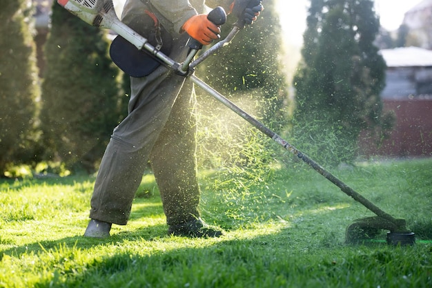 Sección baja del hombre que trabaja en el campo