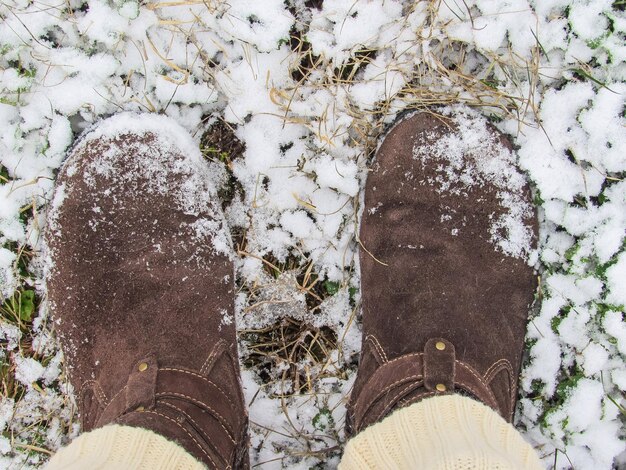 Sección baja de un hombre con zapatos de pie en la nieve