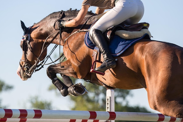 Sección baja de un jinete saltando a caballo sobre obstáculos contra el cielo