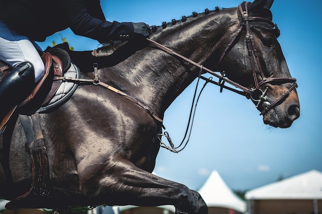 Sección baja de una mujer montando un caballo en una competencia