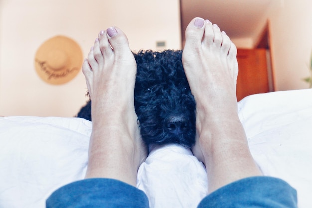 Sección baja de una mujer con un perro en la cama en casa