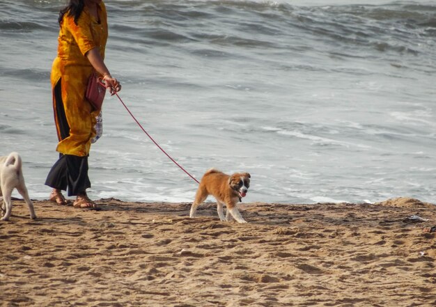 Foto sección baja de una mujer con perros caminando por la playa