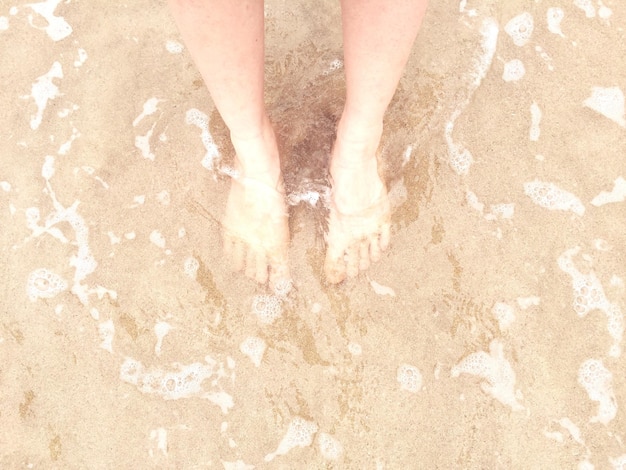 Sección baja de una mujer de pie en aguas poco profundas en la playa