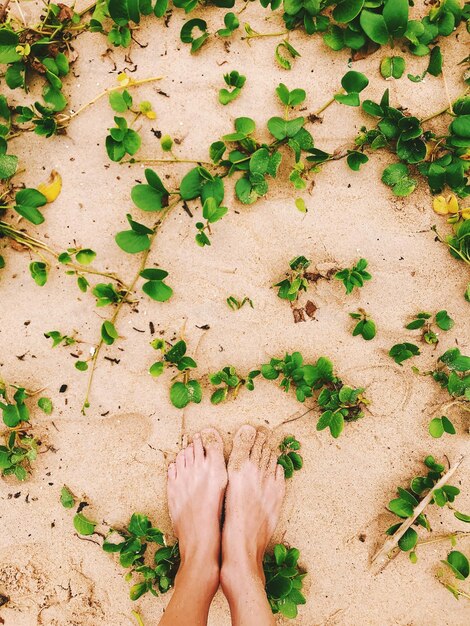 Foto sección baja de una mujer de pie en la arena por las plantas