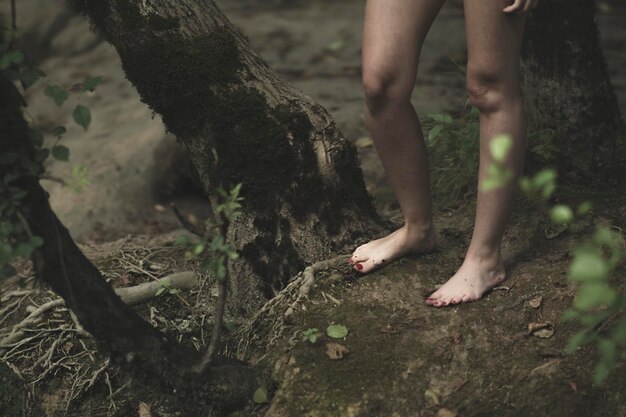 Foto sección baja de una mujer de pie en el bosque