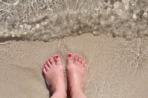 Sección baja de una mujer de pie en la playa