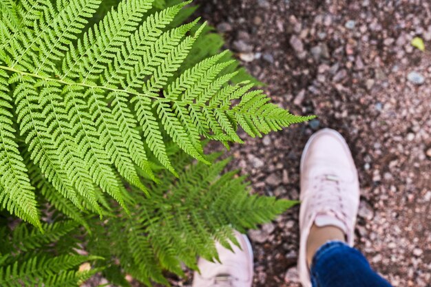 Foto sección baja de una mujer de pie en tierra por planta