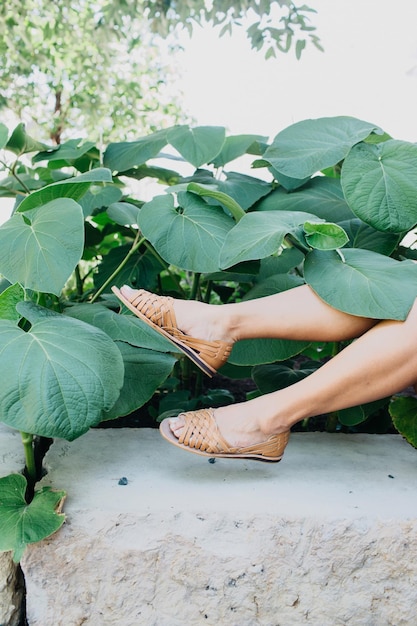 Foto sección baja de la mujer por plantas