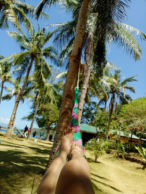 Foto sección baja de la mujer relajándose en una hamaca contra las palmeras
