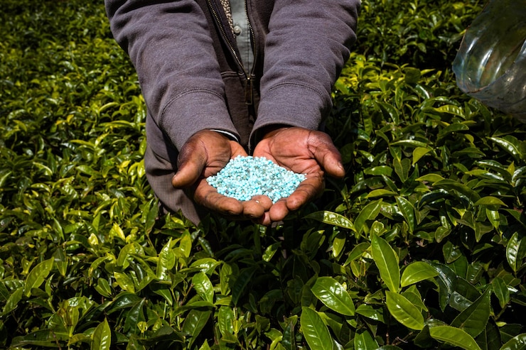 Foto sección baja de la mujer sentada en el campo