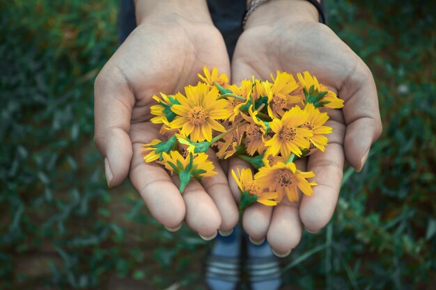 Sección baja de una mujer sosteniendo flores