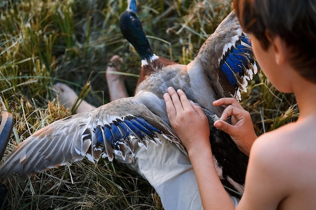 Foto sección baja de un niño con un pájaro sentado al aire libre