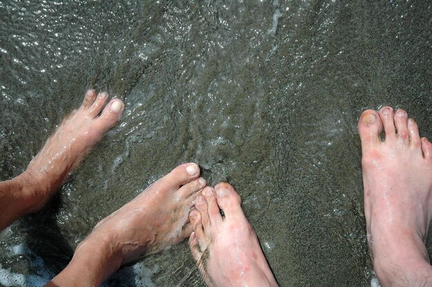 Sección baja de una pareja de pie en la playa