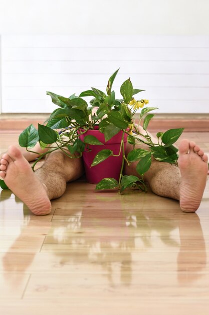 Foto sección baja de una persona acostada contra una planta en maceta