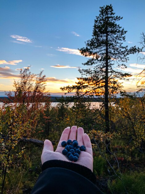 Foto sección baja de una persona en el campo contra el cielo durante la puesta de sol