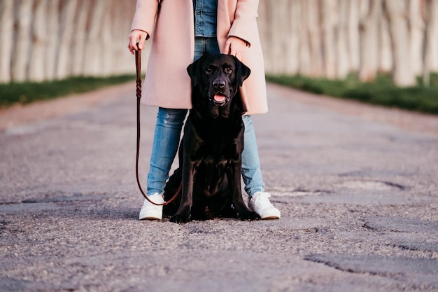 Sección baja de una persona con un perro en la carretera