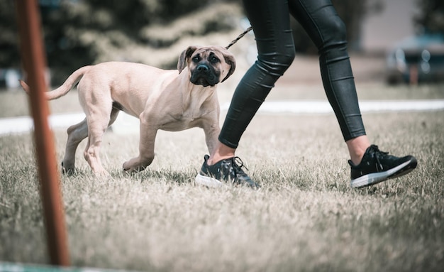 Foto sección baja de una persona con un perro