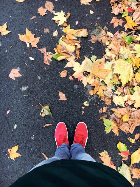 Foto sección baja de una persona de pie junto a las hojas de otoño en la carretera